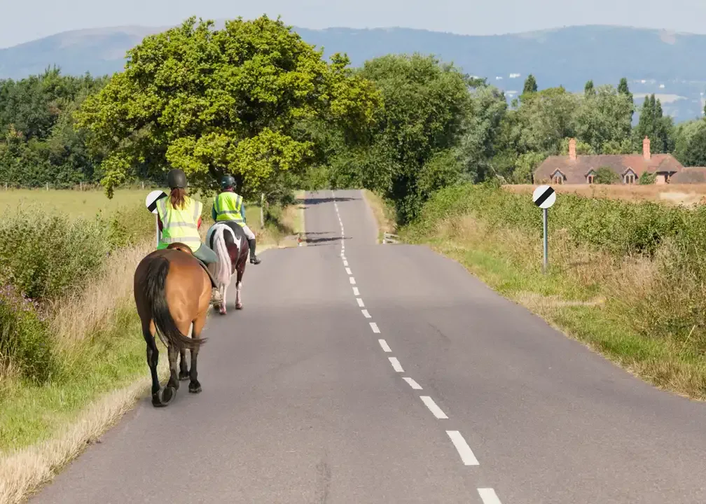 Illustration for the question: What should you do when you see these horse riders in front?