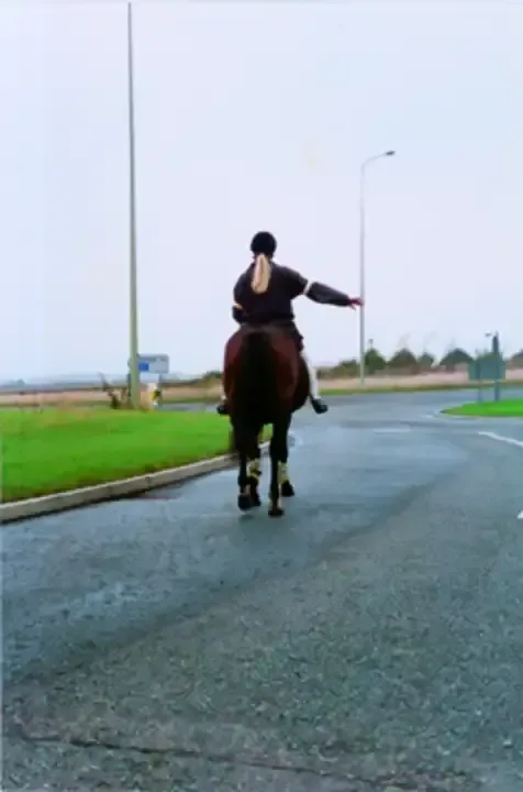 Illustration for the question: You see a horse rider as you approach a roundabout. What should you do if they're signalling right but keeping well to the left?