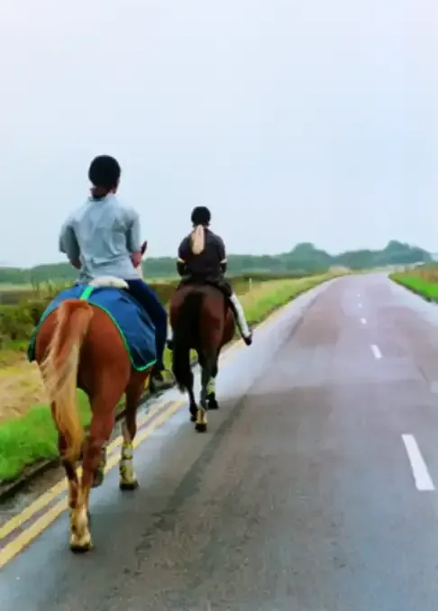 Illustration for the question: You're about to overtake horse riders. What could scare the horses?